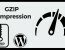 Enable Gzip Compression to Optimize Website