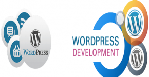 Improve WordPress Development Skills