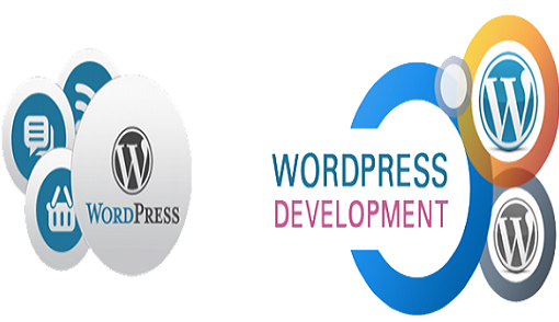 Improve WordPress Development Skills